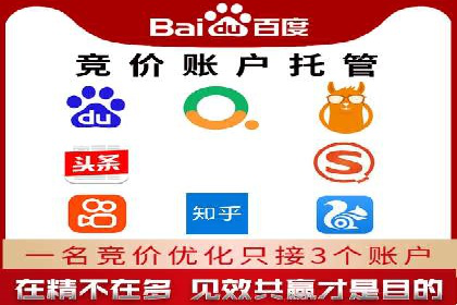 成功案例：SEM竞价托管的策略与效果